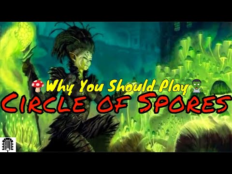 Why You Should Play Circle of Spores Druid