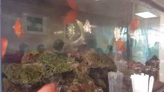 Experience Good Feng Shui in a Restaurant