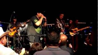 LOS FELINOS FLOR MORENA