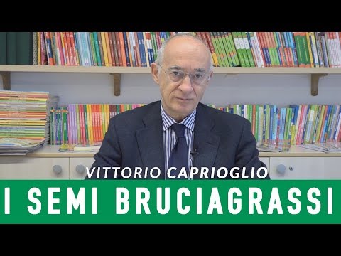 Semi oleosi per dimagrire: perdi peso in modo naturale