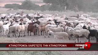 ΚΤΗΝΟΤΡΟΦΟΙ: ΧΑΙΡΕΤΙΣΤΕ ΤΗΝ ΚΤΗΝΟΤΡΟΦΙΑ