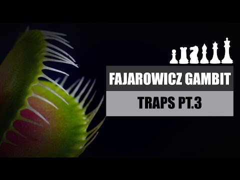 Chess Traps for Black | Fajarowicz Gambit Pt.3