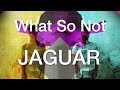 What So Not - Jaguar (Official Music Video) 