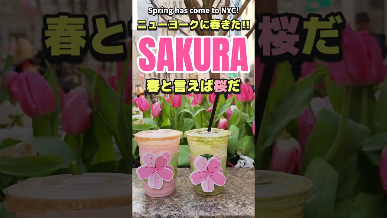 ニューヨークで桜と抹茶を楽しめる幸せ
