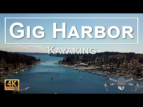 Gig Harbor WA Kayaking 4K UHD - What's up with all the seals?!