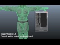 Sample Of LA3D Python Skinning Rigging Workflow Tools