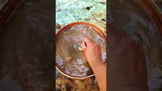 Download lagu The Day I Let It Go #shorts #feedshorts #subscribe mp3