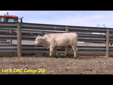 2023 Q4Q Lot 5 CMC Cannon 212 P