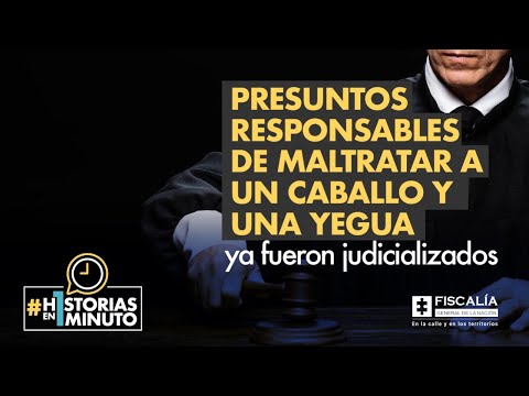 Presuntos responsables de maltratar a un caballo y una yegua ya fueron judicializados