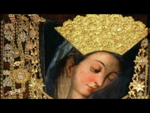 Gospe Sinjska Usliši Nas ～ Dražen Žanko