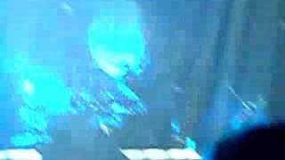 Duke Special - Freewheel