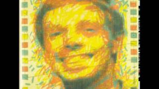 David Chesworth - Could You Repeat That?