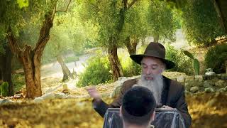 שיחתו של מו"ר ראש הישיבה הרב מאיר דוד שמואלי שליט"א בנושא : בזמן שאיראן תיפול יתחיל זמן הגאולה.