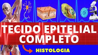 TECIDO EPITELIAL COMPLETO - HISTOLOGIA (ENSINO SUPERIOR) - TECIDO EPITELIAL DE REVESTIMENTO