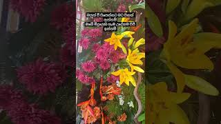 Download lagu මලක් වී පිපී ඉන්නම් #love #kandaksema #atharathura #bloomingflowers mp3