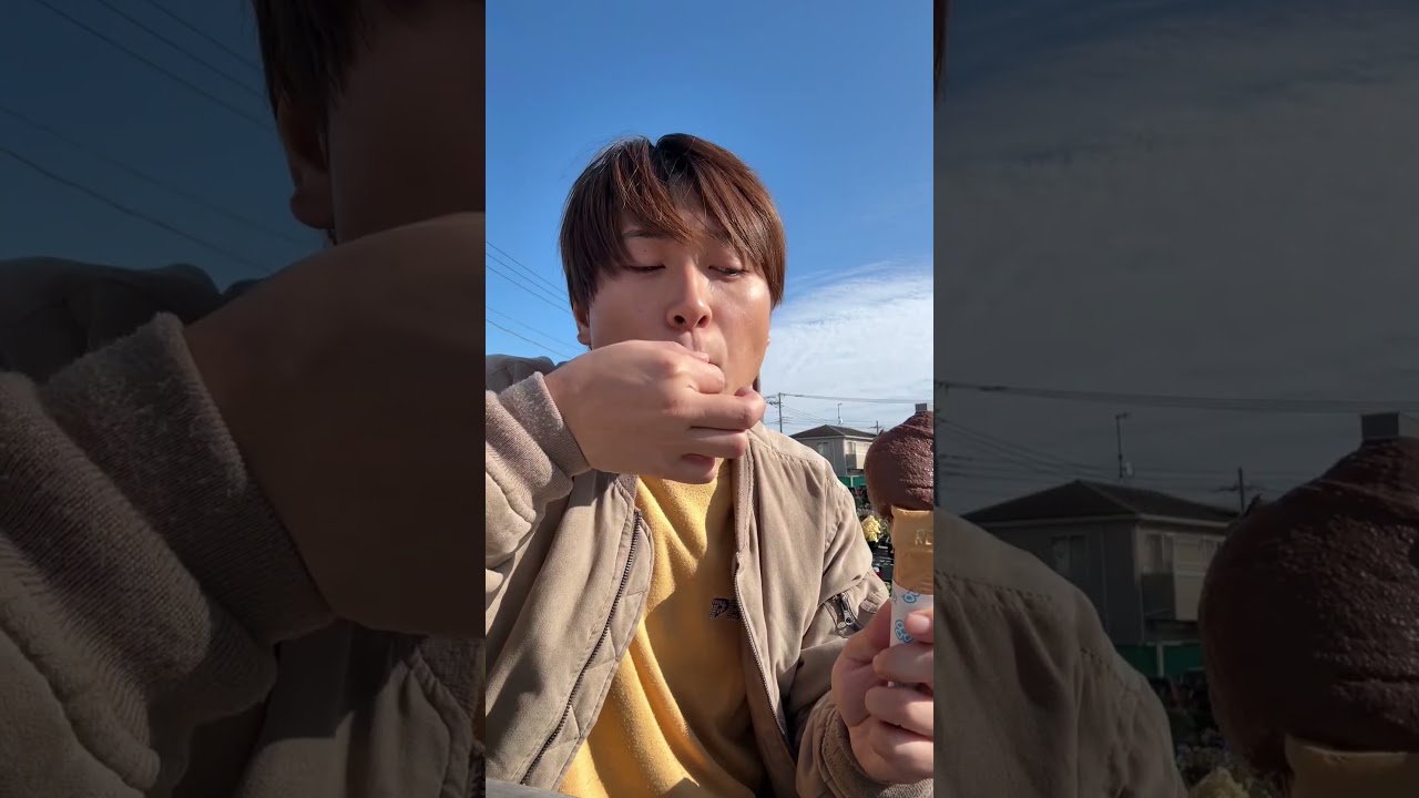 秦野ぶらり旅#ひな散歩 #秦野