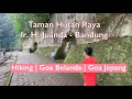 Goa Jepang Belanda Di Taman Hutan Raya Tahura Ir H Djuanda BANDUNG HIKING