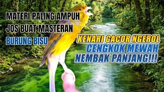 Download lagu Masteran kenari isian super mewah gacor  mp3