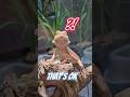 Quick Guide Insects To Give Your Bearded Dragon Beardeddragon Funnyanimals Reptile Cuteanimals
