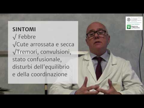 Descrizione della prostatite malattie Cosa fare per evitare di prostatite cosa fare