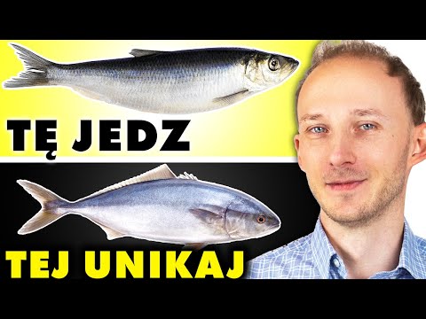 , title : 'Tych 9 ryb NIE JEDZ, bo szkodzą i 13, które wzmocnią zdrowie | Dr Bartek Kulczyński'