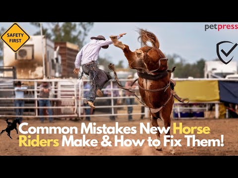 Horse Riding Beginner Mistakes (and How to Avoid Them!)
