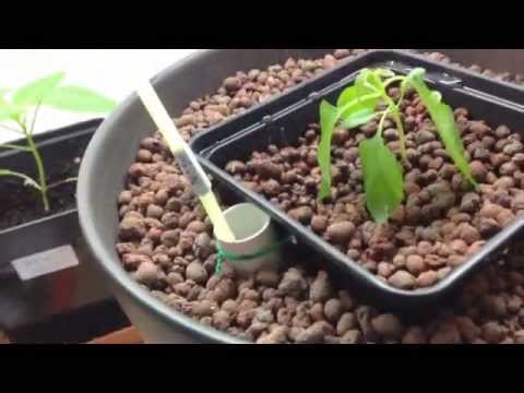 Hydro Topf Versuch 1