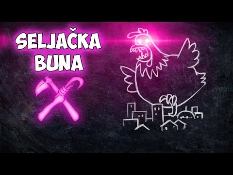 Seljačka Buna - Džinovska kokoška