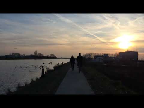 Onaf | Zondagen (2022)