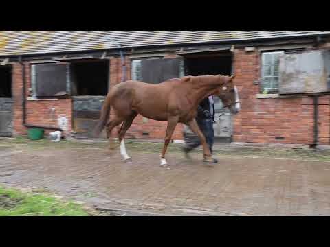 Video 1