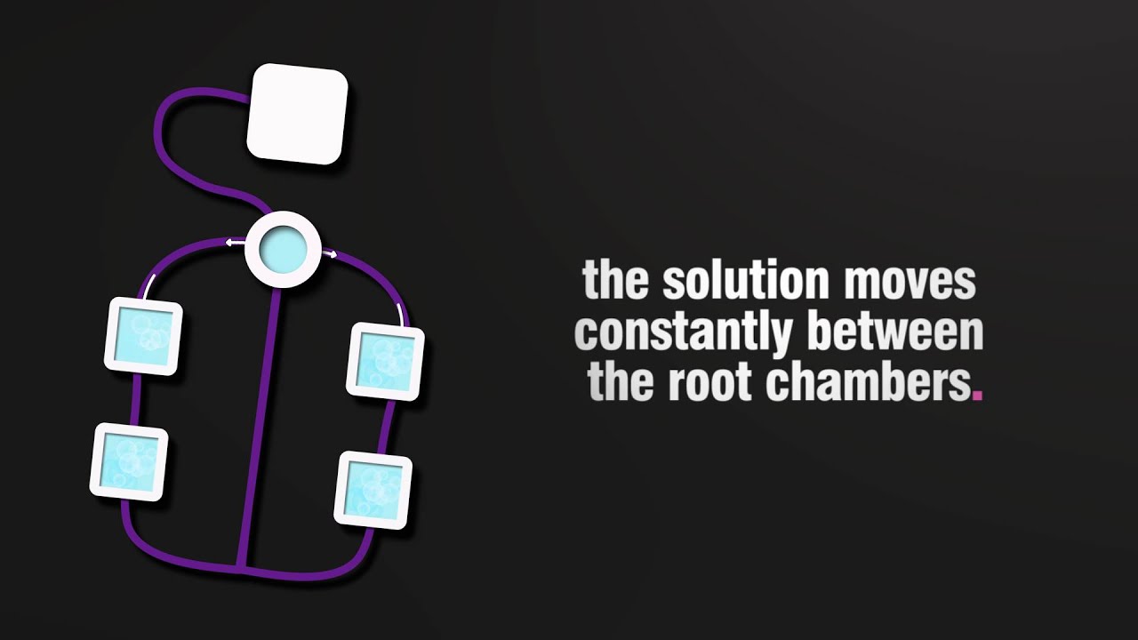 DWC/RDWC. Whats the difference?