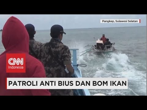 Lobak hitam untuk potensi manusia Pandangan mempengaruhi potensi