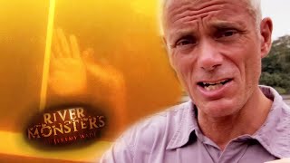 Piranha Horror Stories | River Monsters