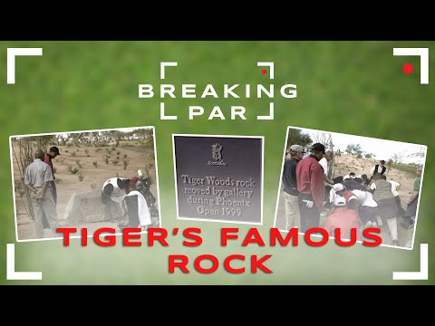 Did Tiger Woods Illegally Move That Rock? | Understanding Loose Impediments