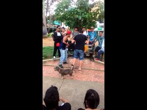 Batalla de gallos Bucaramanga/ reto vs pableko