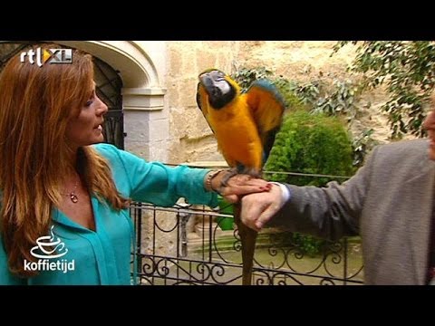 Quinty in Valletta - KOFFIETIJD