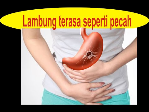 Saya menambahkan seorang gadis Exciter Apa adalah yang terbesar dan terkecil penis