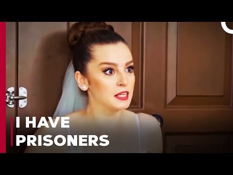 Bercin Locked The Wedding Official In The House - Can't Stop Loving You