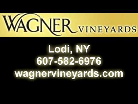 2008 Wagner Semi Dry Riesling