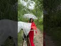 Rain Pose Ideas For Girls Photography Saree Pose In Girls Shorts Tauba Tauba Trending Short