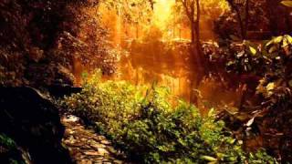 Tenhi - Tuuli Varista