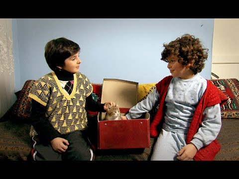 Başarmalısın - Kanal 7 TV Filmi