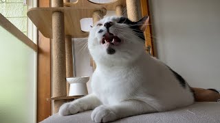 風の強い日