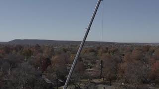 Nick's Tree Service pecan removal