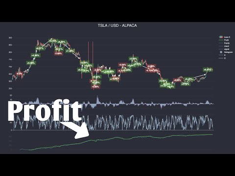I Built A Crypto/Stock Trading Bot in 45 minutes with "Debut"