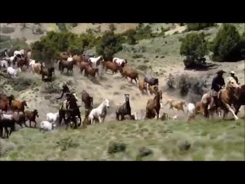 Por esa yegua 🐎🎼🎵🎶🎹🎸🎺🎺 Vicente Fernández