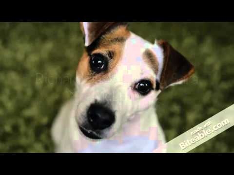 HandyExperts - Heating Installers video.