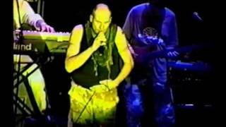Fish- Goldfish and clowns &quot;Live&quot; 97 (Rare Footage)