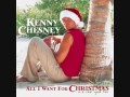 All I Want for Christmas is a Real Good Tan - Kenny Chesney