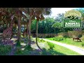 Kilimanjaro Safaris Animal Kingdom 2019 Full Tour Walt Disney World